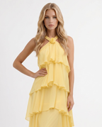 Elegantes ärmelloses Felicia Maxikleid